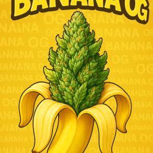 Banana OG Flower