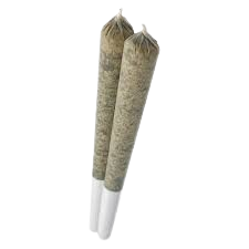 Tropic Cherry Pre-Roll