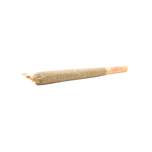 Sexy Z Pre-Roll