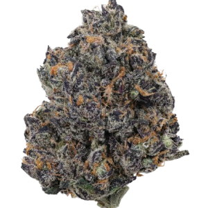 Tropic Cherry Flower
